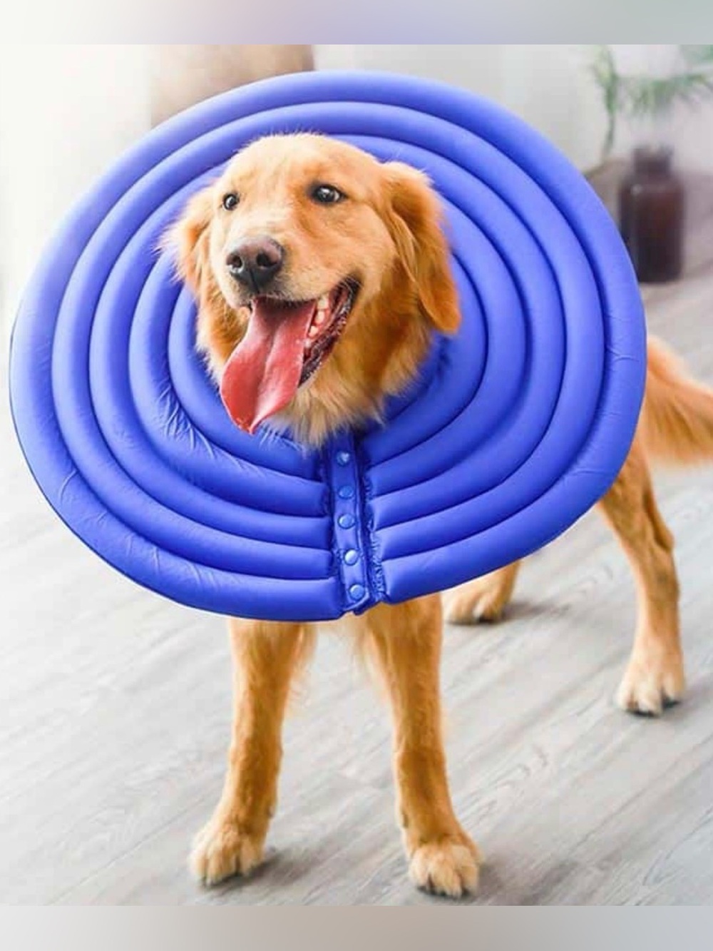 Doglemi Soft & Comfortable Dog Cone - Size L